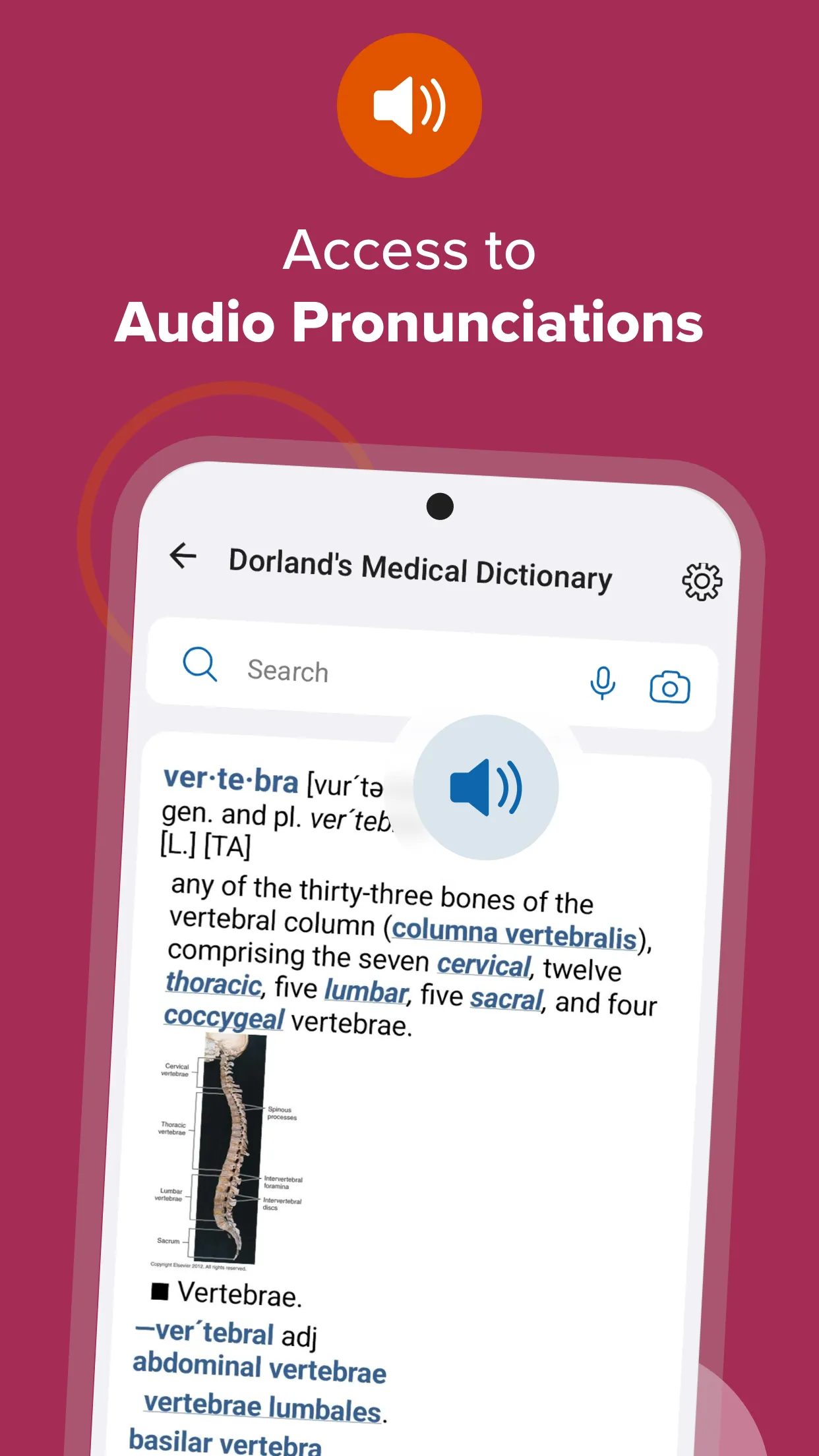 Dorland's Medical Dictionary | Indus Appstore | Screenshot