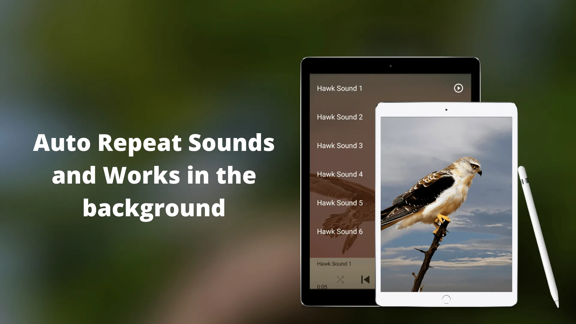 Hawk Sounds | Indus Appstore | Screenshot