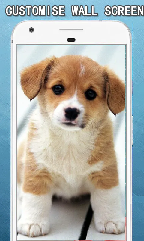 Cute Puppy Dog Wallpapers Hd | Indus Appstore | Screenshot