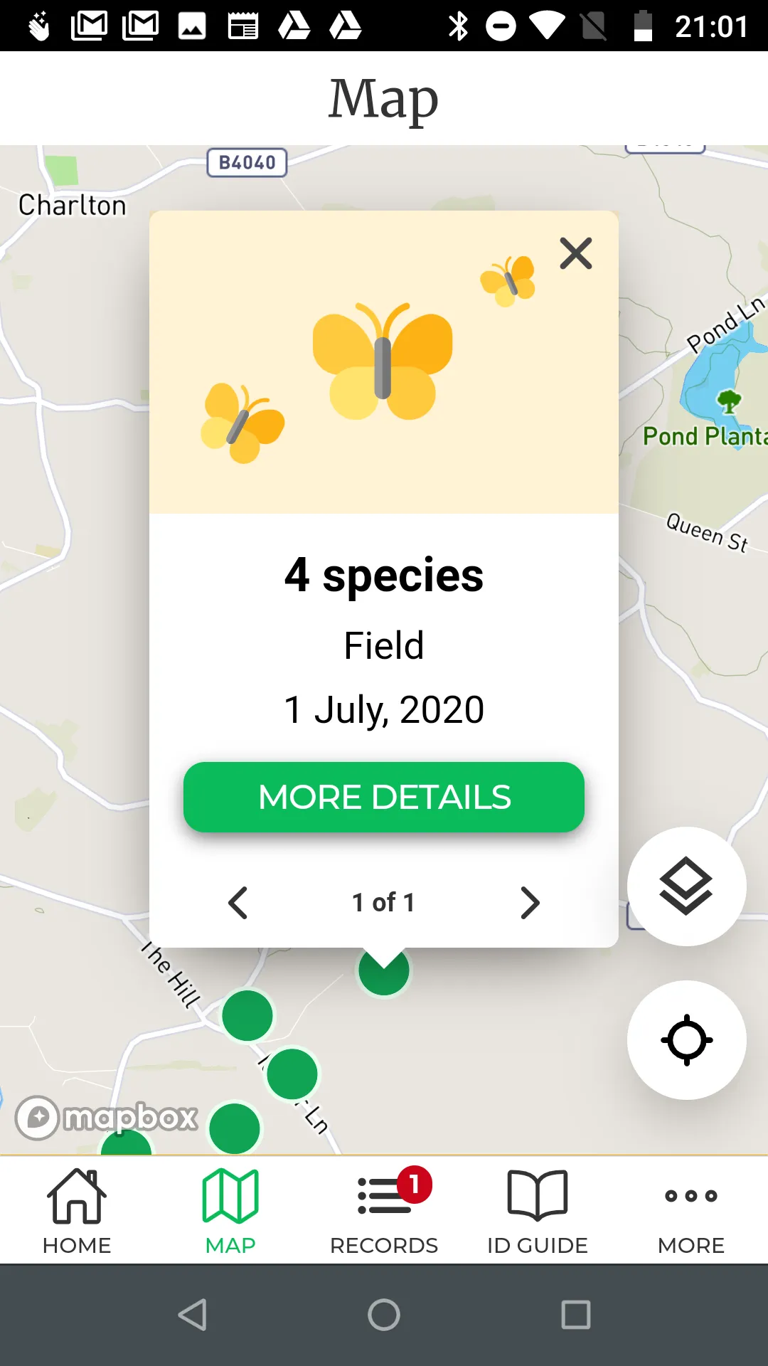 Big Butterfly Count | Indus Appstore | Screenshot