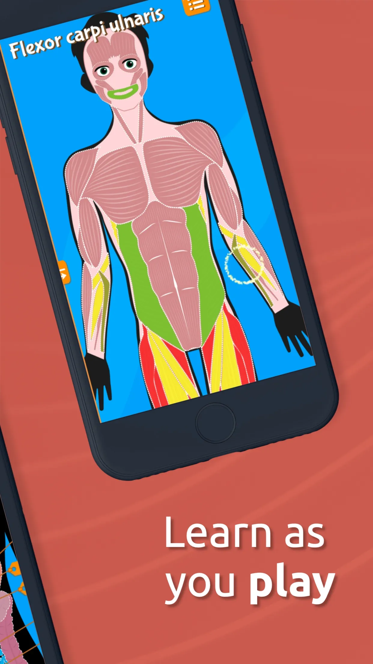 Human Anatomy - Body parts | Indus Appstore | Screenshot