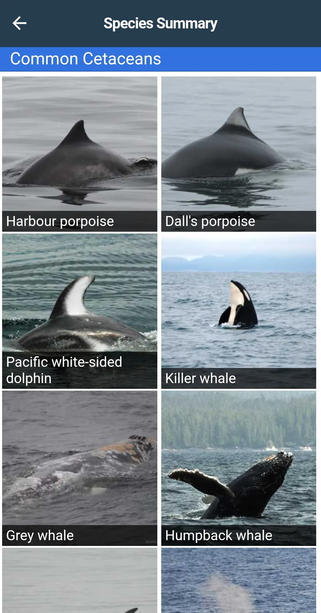 WhaleReport | Indus Appstore | Screenshot