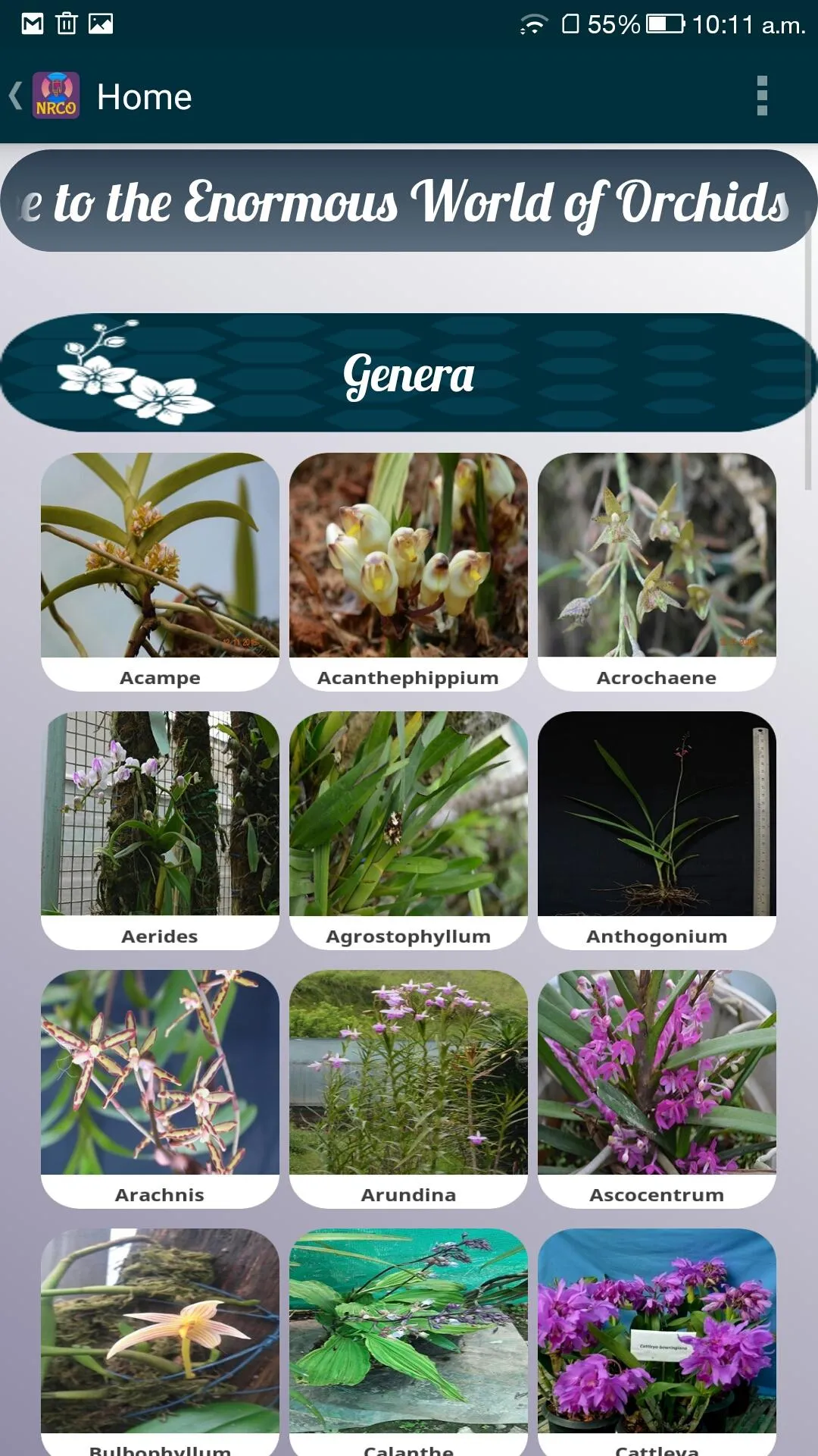 OrchidoPedia | Indus Appstore | Screenshot