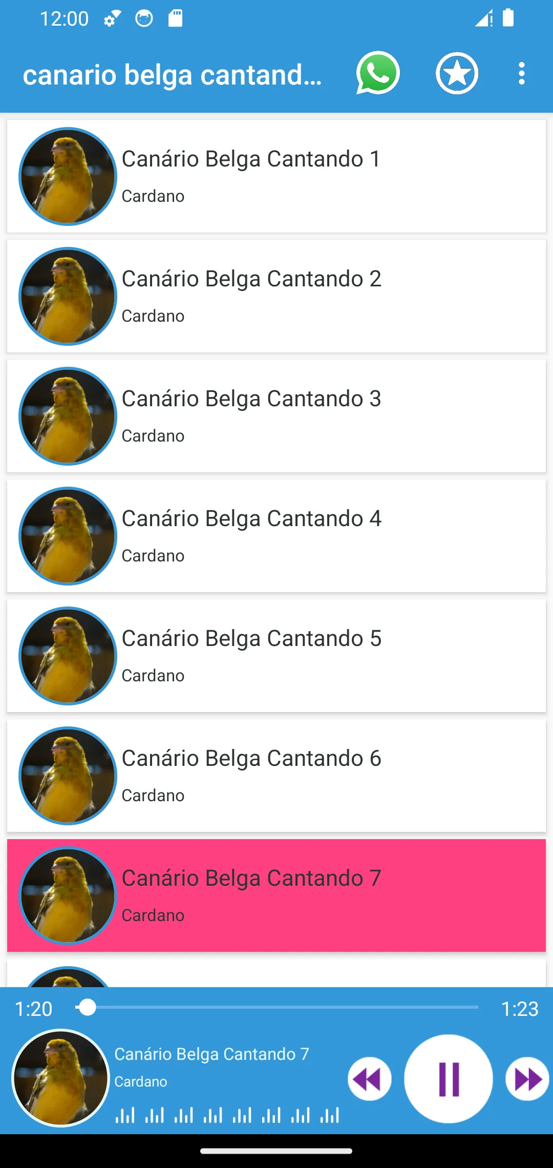 Canário Belga Cantando | Indus Appstore | Screenshot