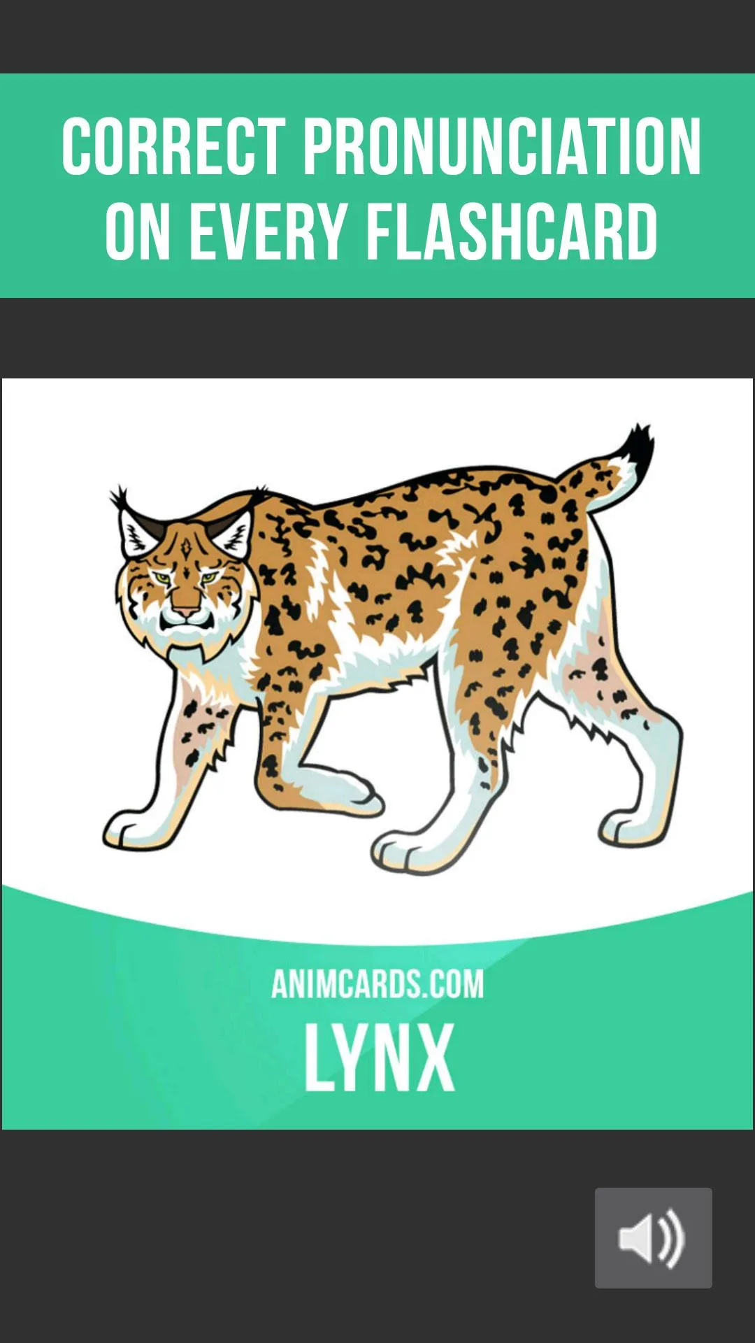 Animals Cards: Learn Animals i | Indus Appstore | Screenshot