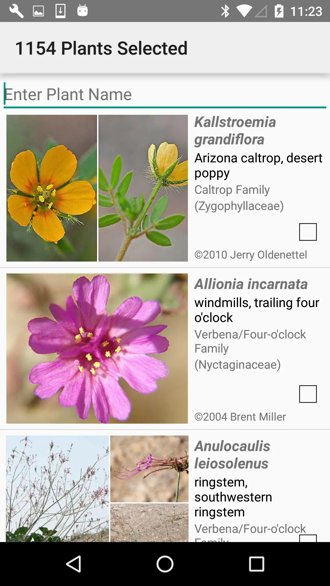 West Texas Wildflowers | Indus Appstore | Screenshot