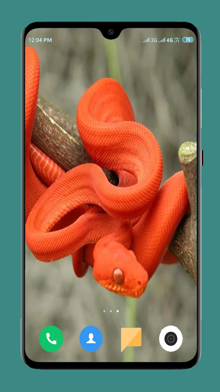 Snake Wallpaper HD | Indus Appstore | Screenshot