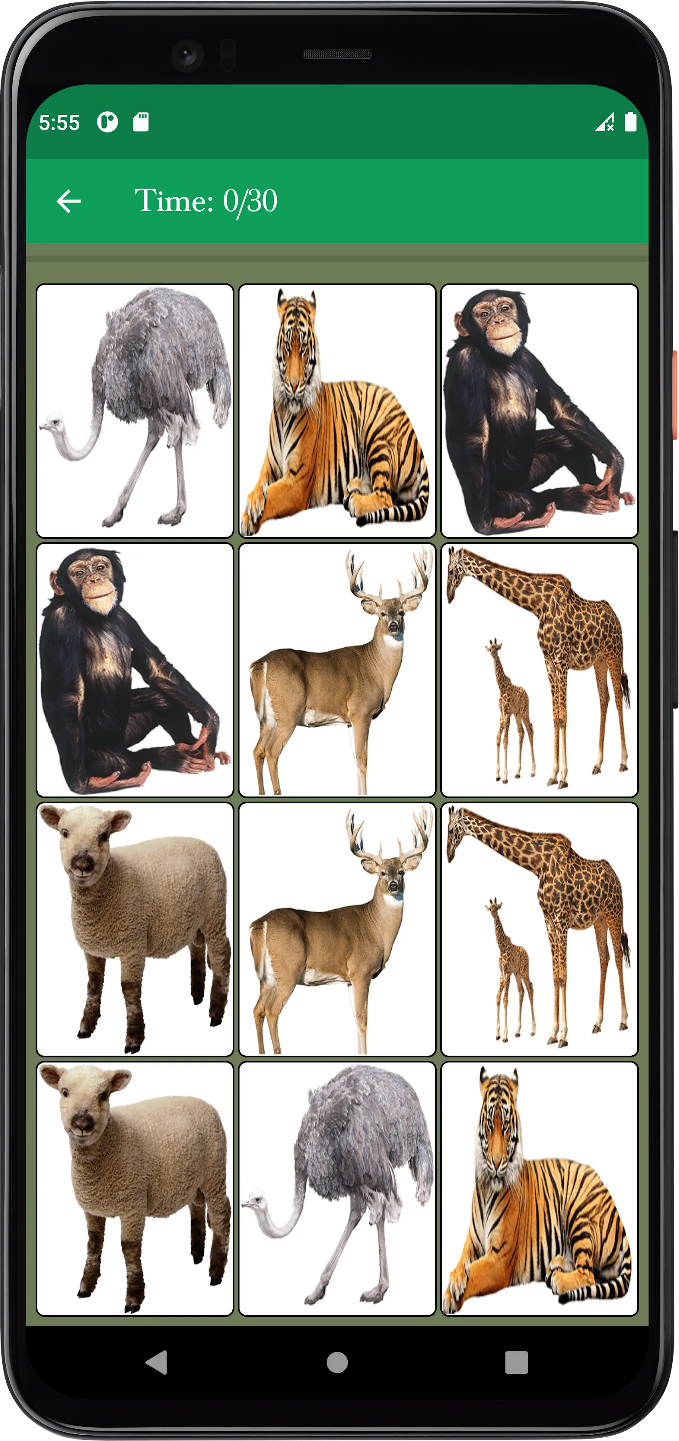 Animal Memory Matching Game | Indus Appstore | Screenshot