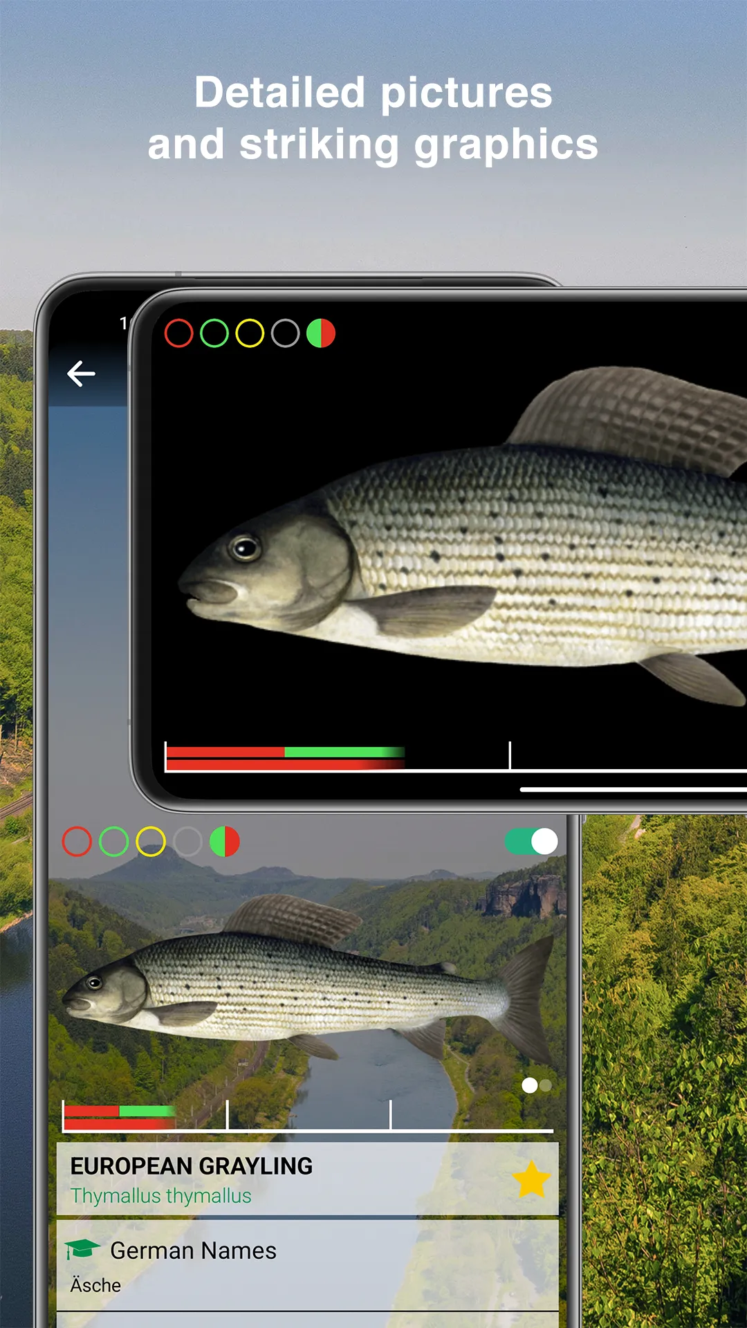 Fishguide Saxony | Indus Appstore | Screenshot