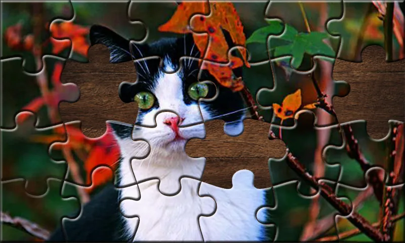 Jigsaw Puzzle: Puzzle Game | Indus Appstore | Screenshot