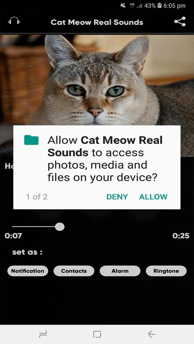 Cat Meow Real Sounds | Indus Appstore | Screenshot