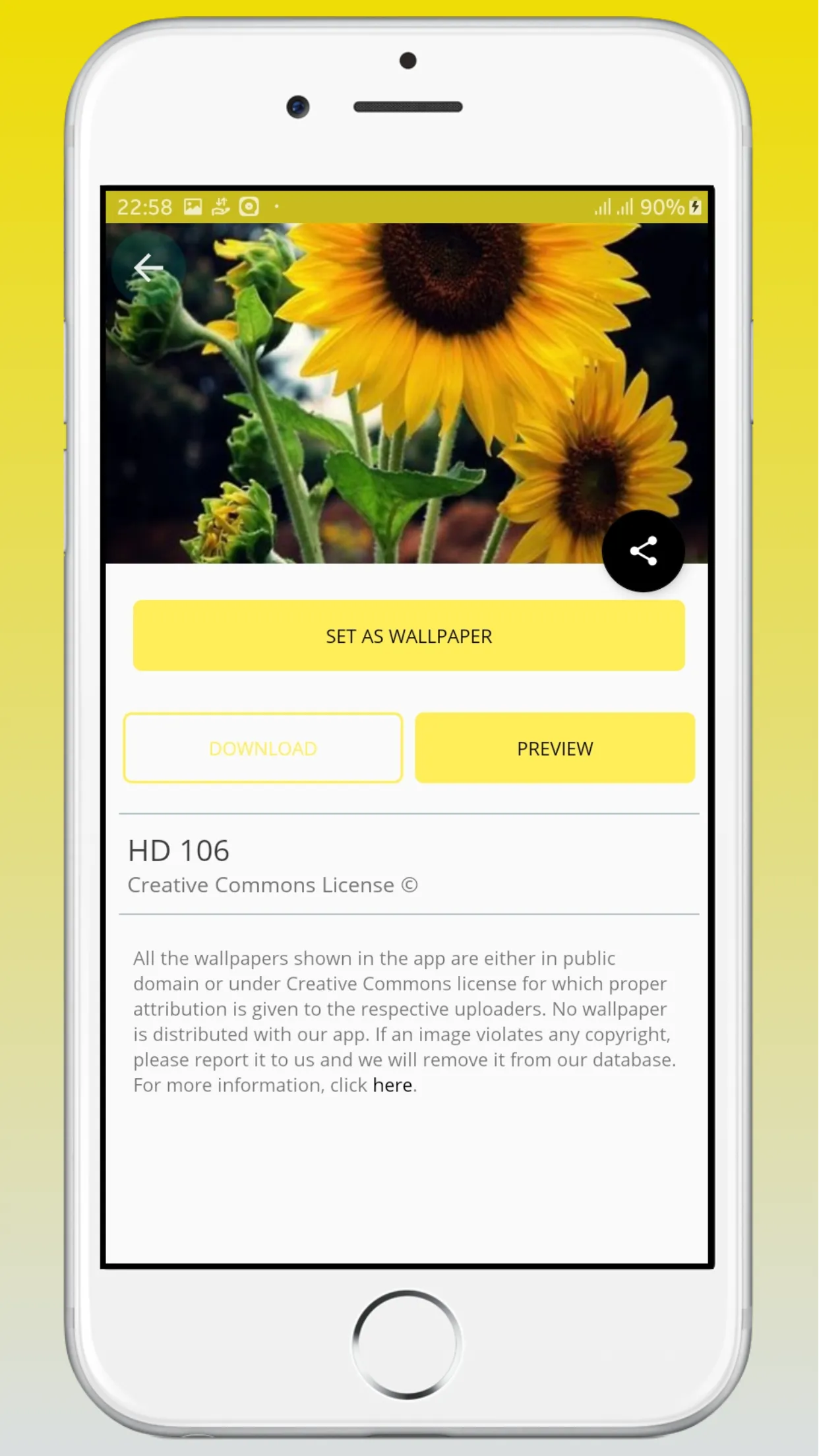 Sunflower Wallpaper HD | Indus Appstore | Screenshot