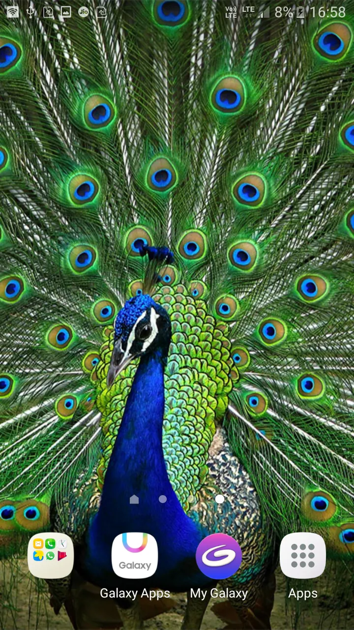 Peacock Live Wallpaper | Indus Appstore | Screenshot