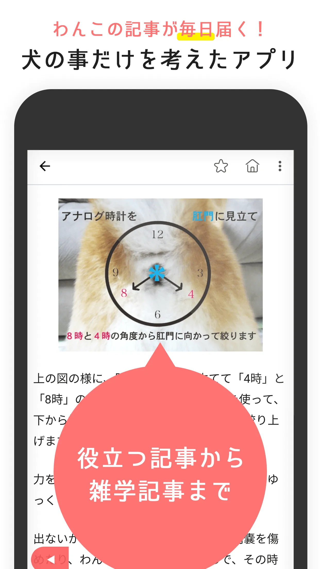 犬のニュースや飼い方の情報をまとめ読み -わんちゃんホンポ- | Indus Appstore | Screenshot