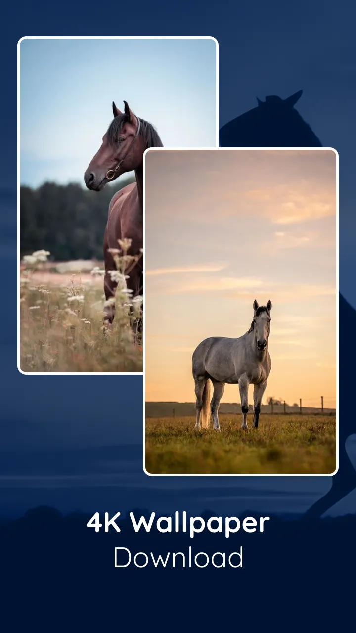 Horse HD Live Wallpaper | Indus Appstore | Screenshot