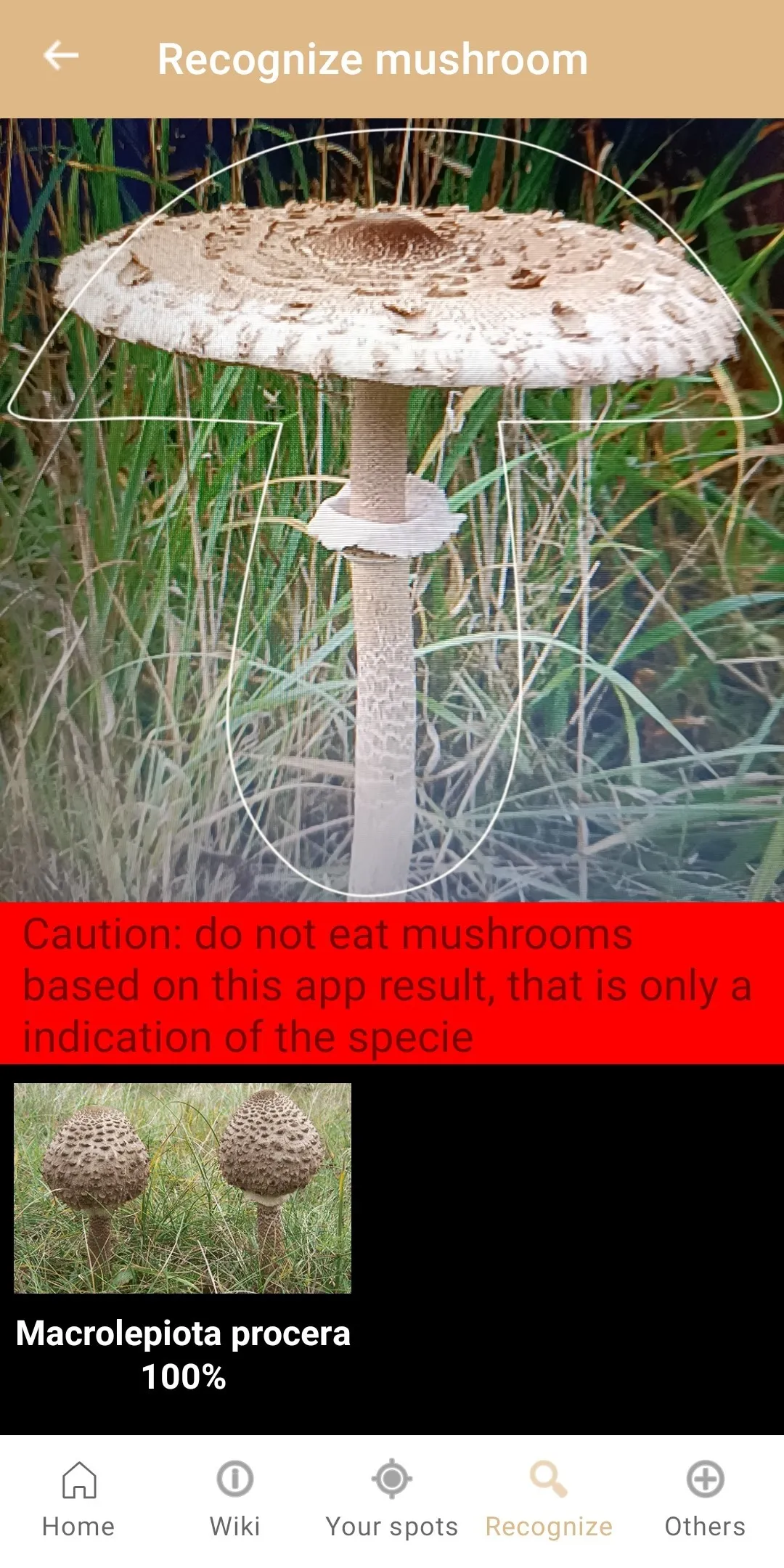 Mushroom Identification | Indus Appstore | Screenshot