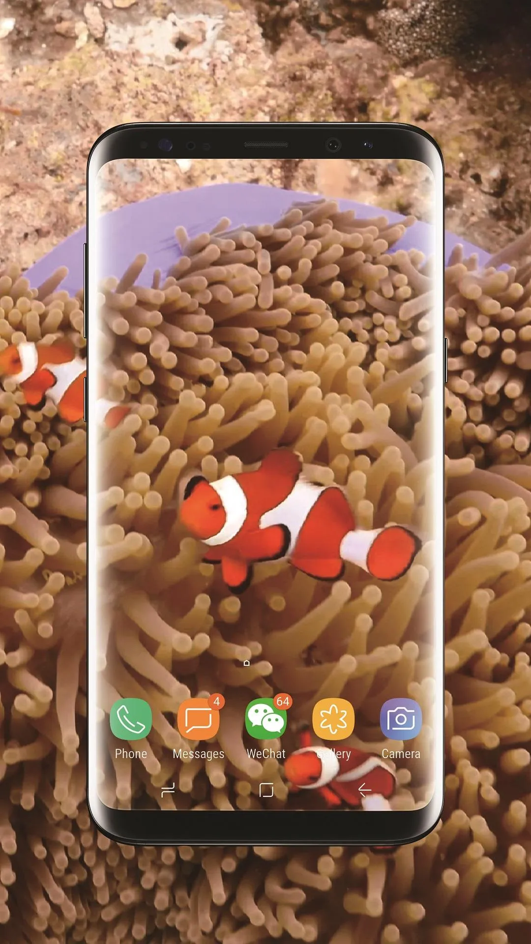 3D Clownfish Live Wallpaper | Indus Appstore | Screenshot