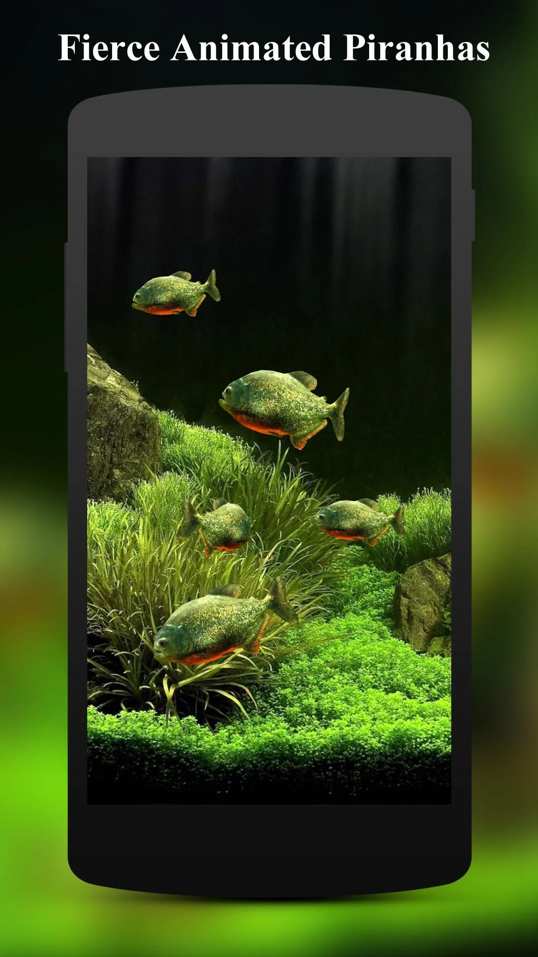 3D Fish Aquarium Wallpaper HD | Indus Appstore | Screenshot