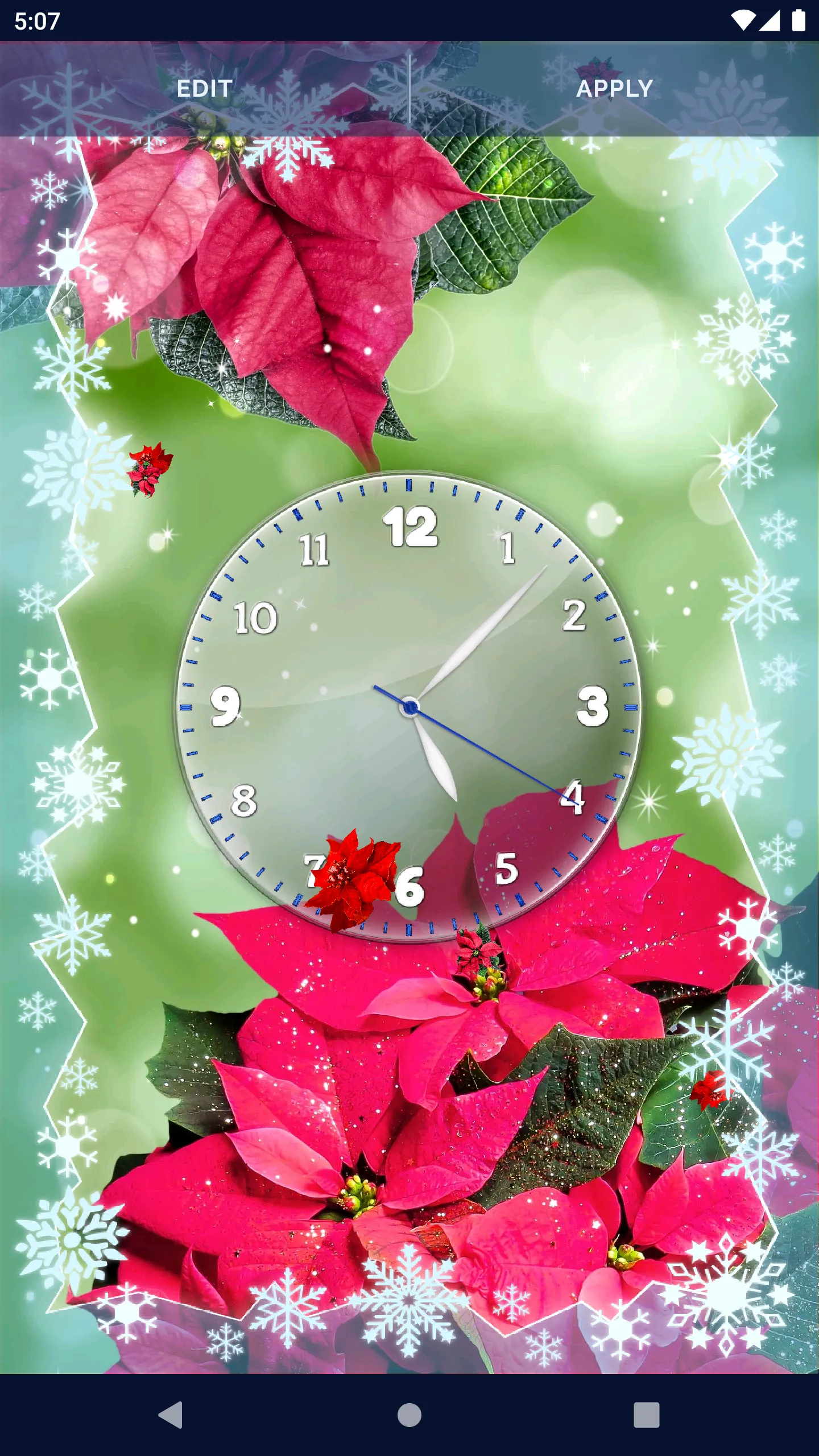 Poinsettia 4K Christmas Flower | Indus Appstore | Screenshot