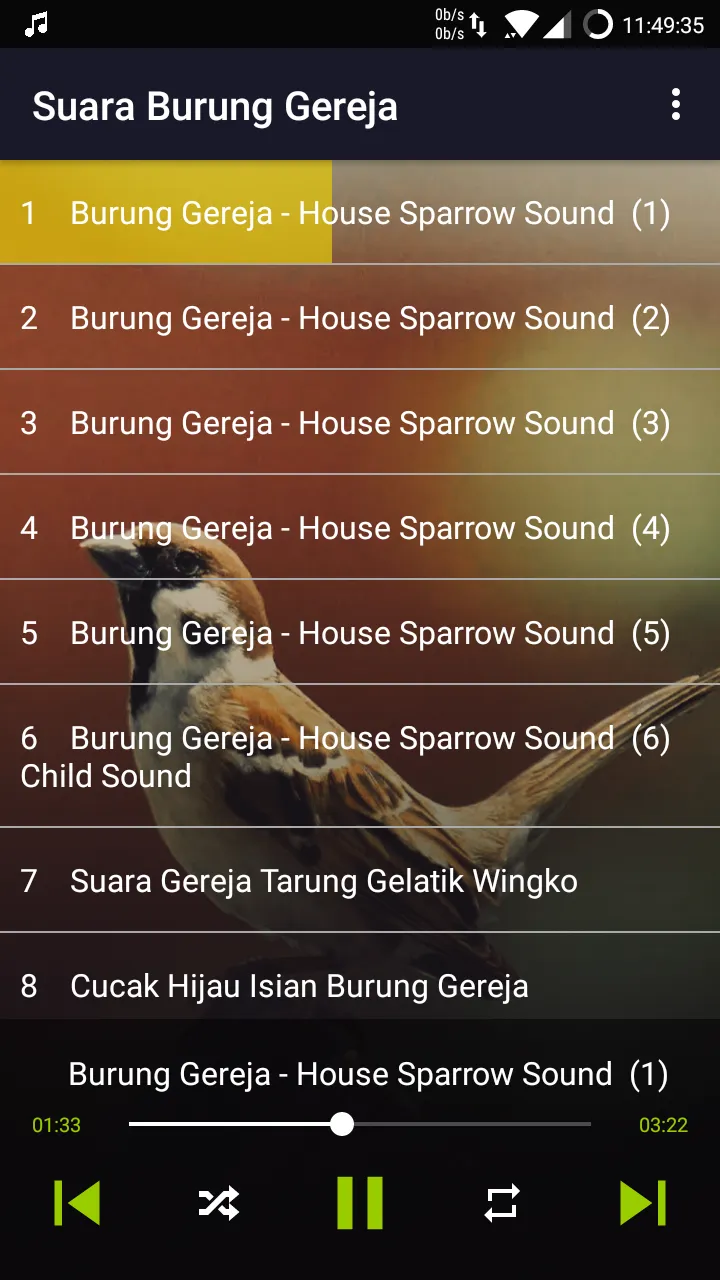 Bird: Eurasian Tree Sparrow | Indus Appstore | Screenshot