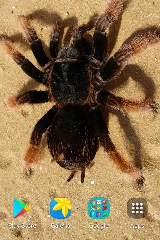 Spider Wallpapers | Indus Appstore | Screenshot