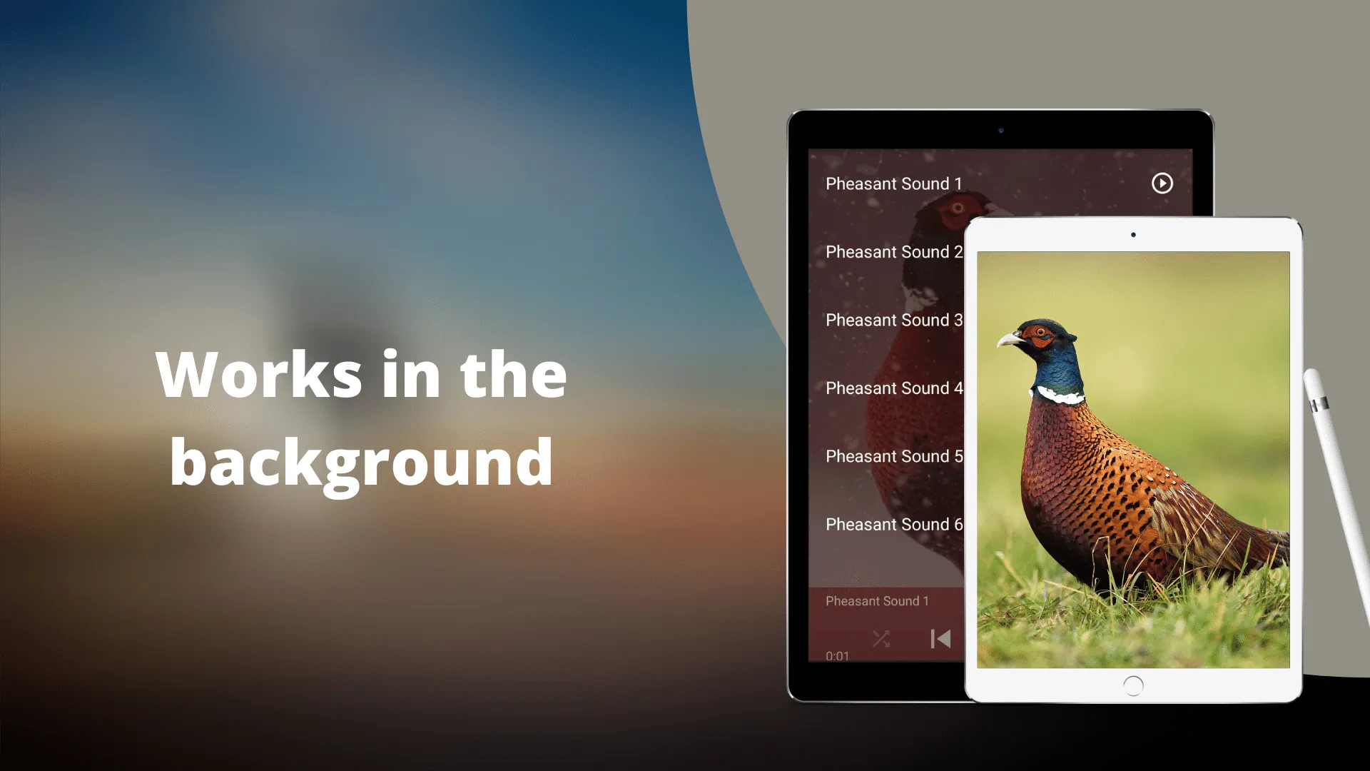 Pheasant Sounds | Indus Appstore | Screenshot