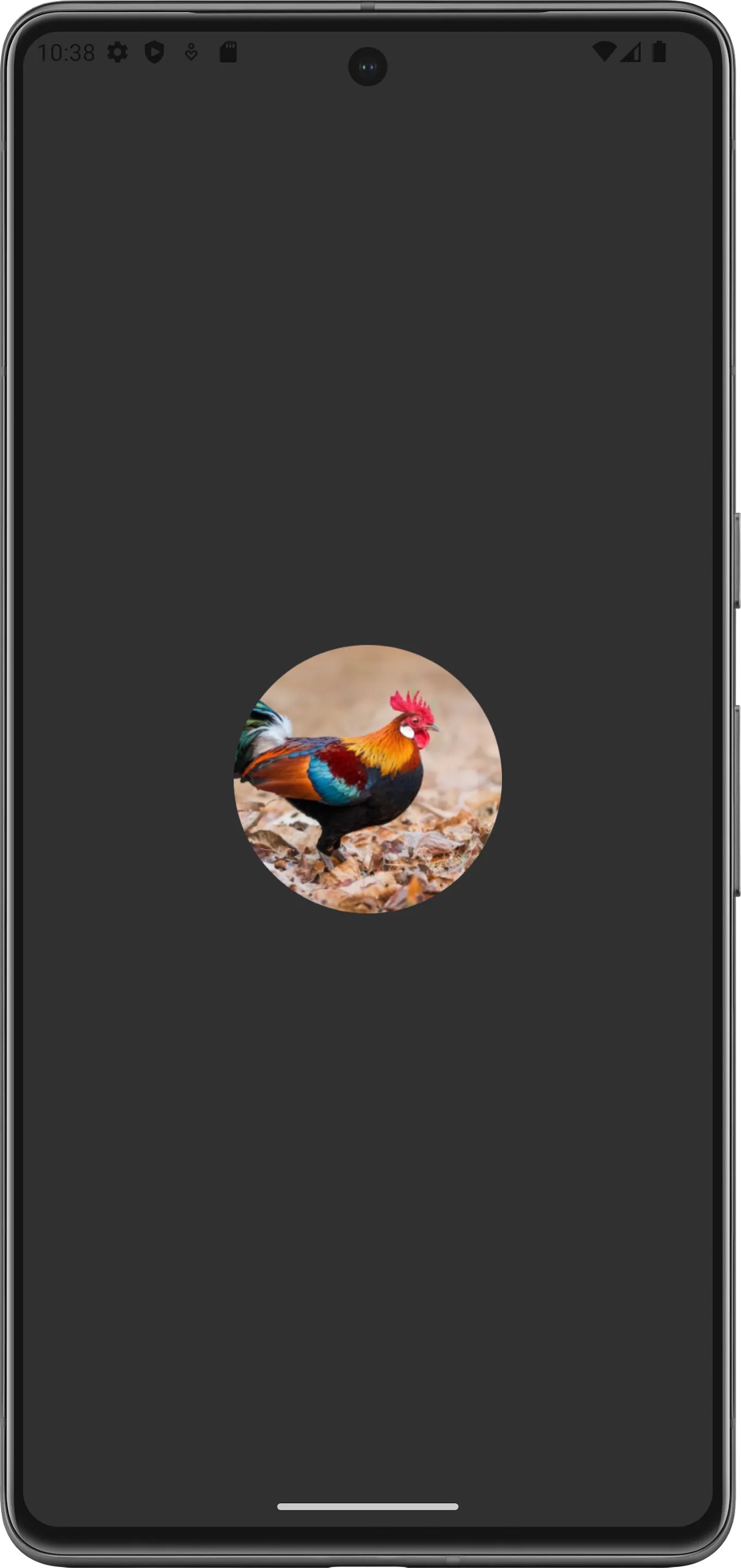 Red junglefowl | Indus Appstore | Screenshot