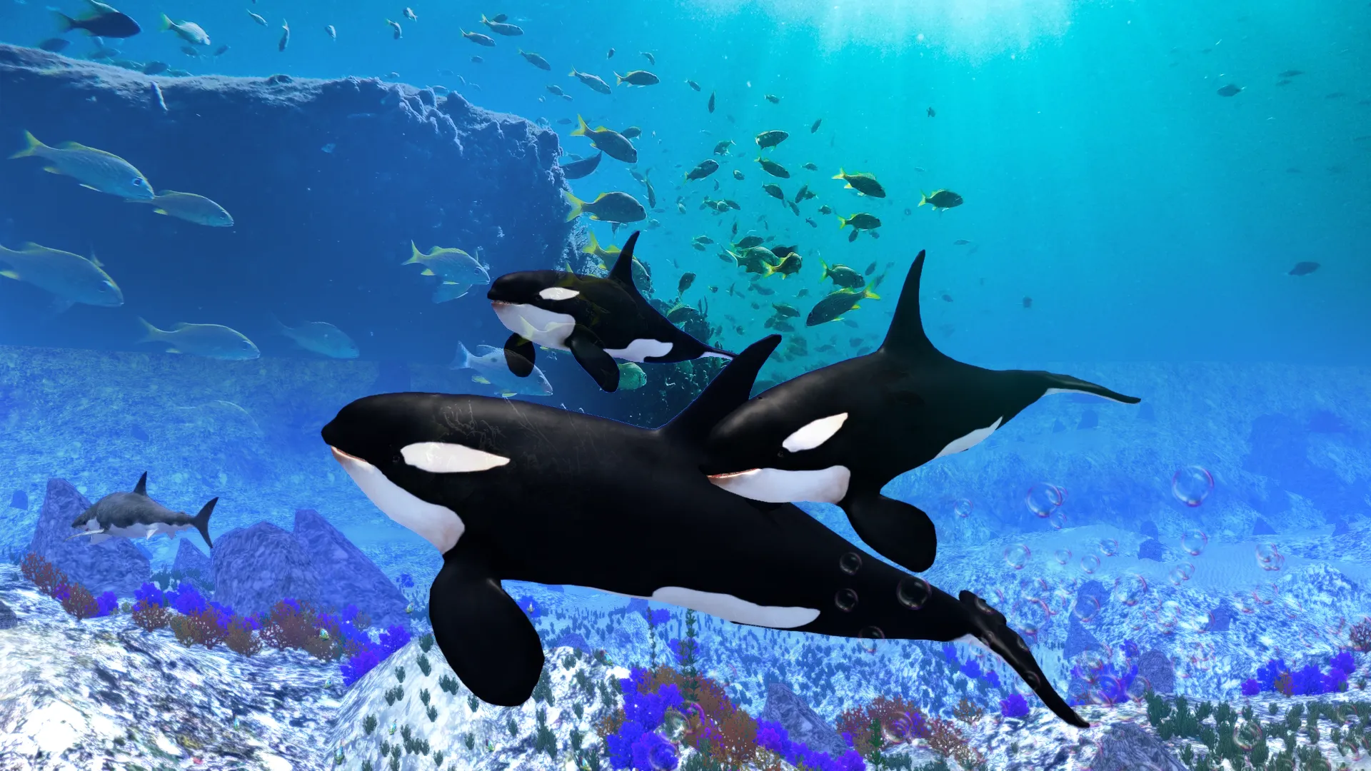 The Killer Whale | Indus Appstore | Screenshot