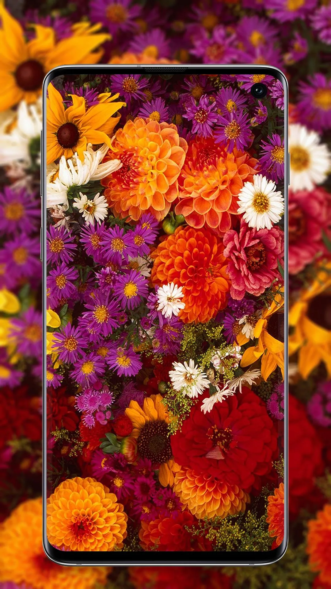 Flower Wallpaper | Indus Appstore | Screenshot