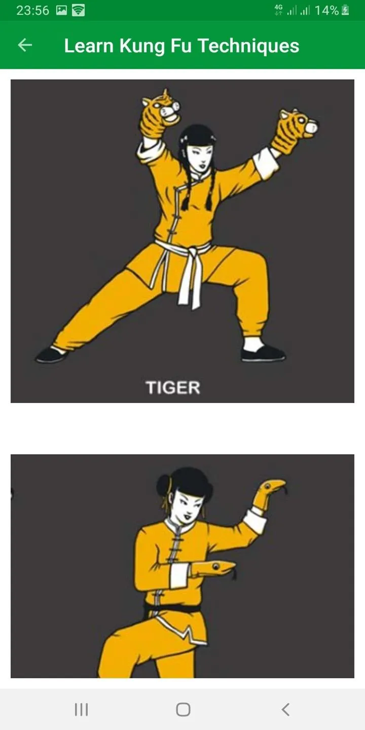 Learn Kung Fu Techniques | Indus Appstore | Screenshot