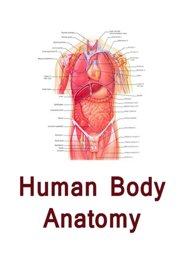 Human body anatomy tips hindi | Indus Appstore | Screenshot