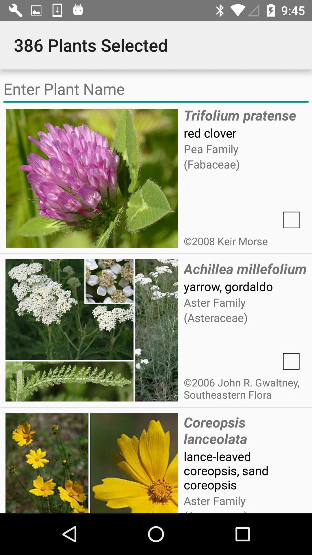 Maryland Wildflowers | Indus Appstore | Screenshot