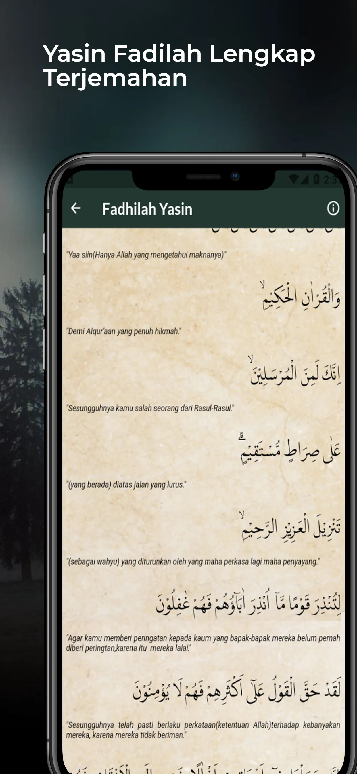 Surat Yasin Fadilah Lengkap | Indus Appstore | Screenshot