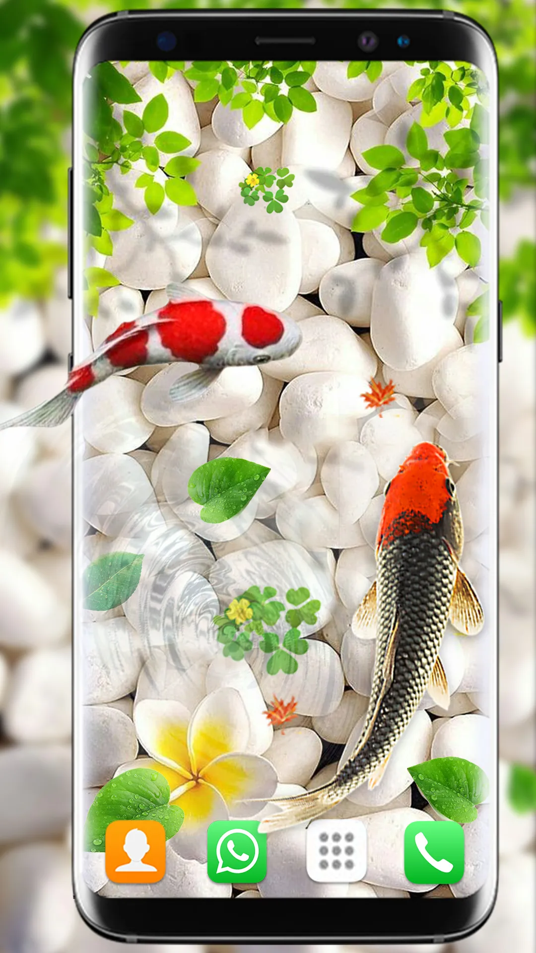 Koi Fish Live Wallpapers HD | Indus Appstore | Screenshot