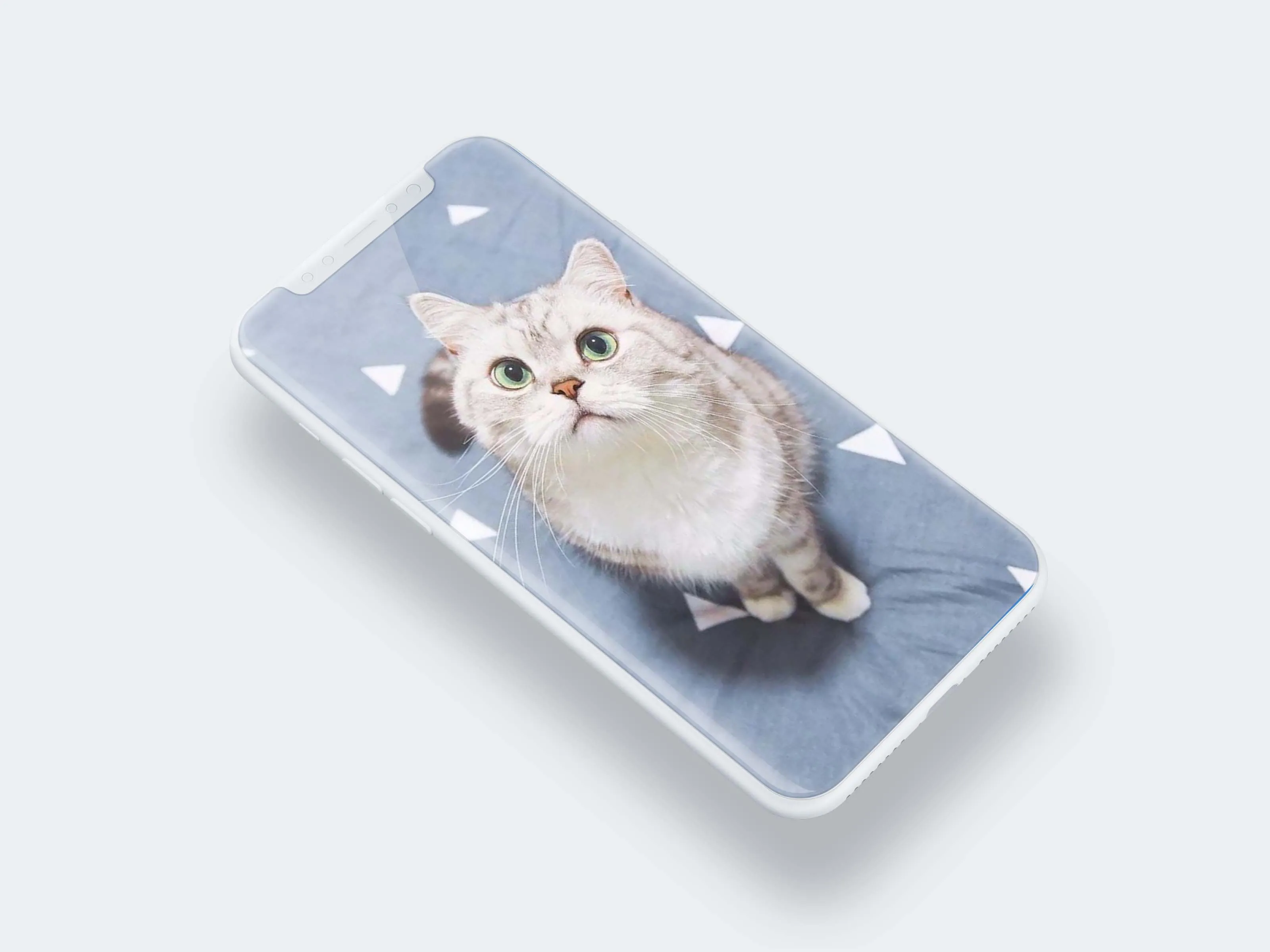 Cute Cat Wallpaper | Indus Appstore | Screenshot