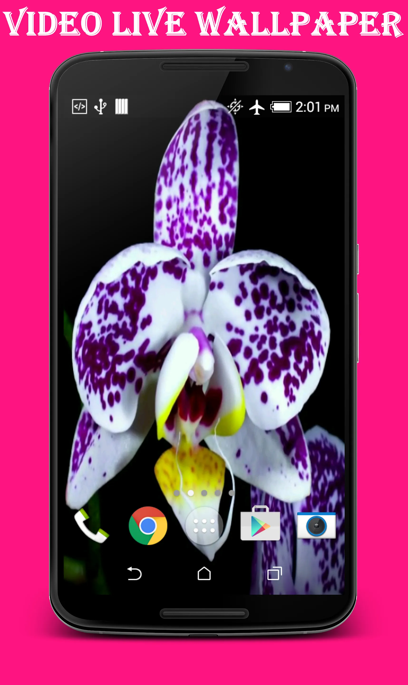 Orchid Video Live Wallpaper | Indus Appstore | Screenshot