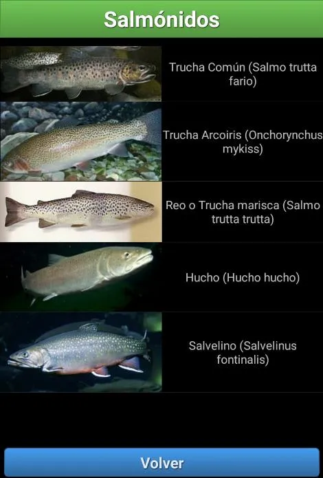 Guia de Peces de Río | Indus Appstore | Screenshot