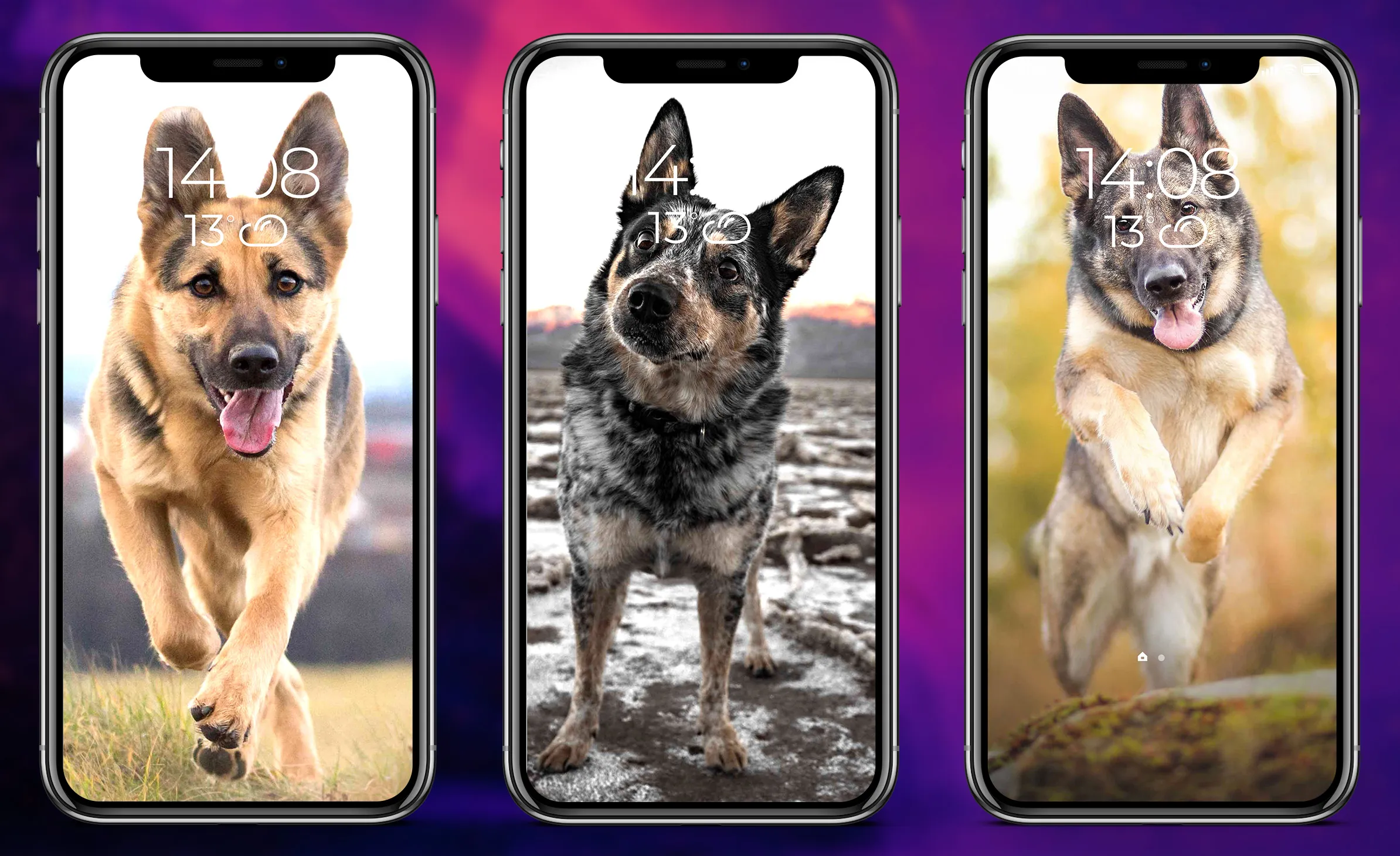 German Shepherd Wallpapers | Indus Appstore | Screenshot