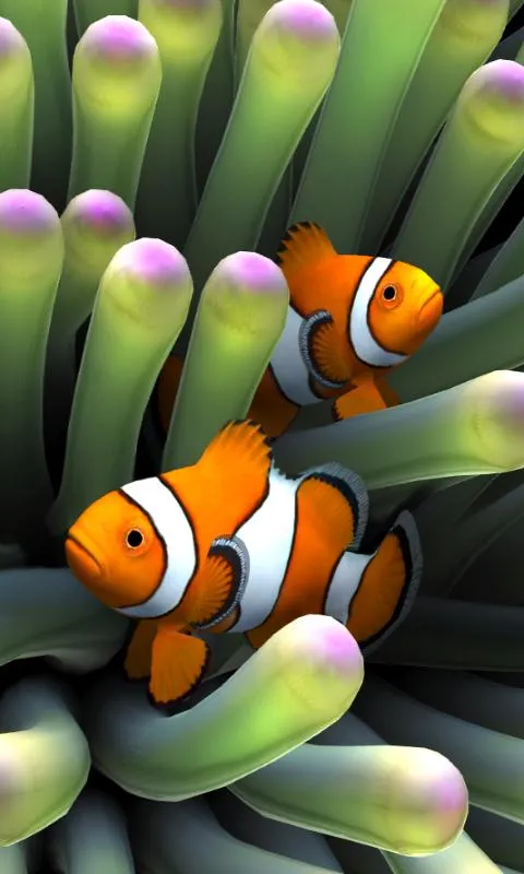 Sim Aquarium | Indus Appstore | Screenshot