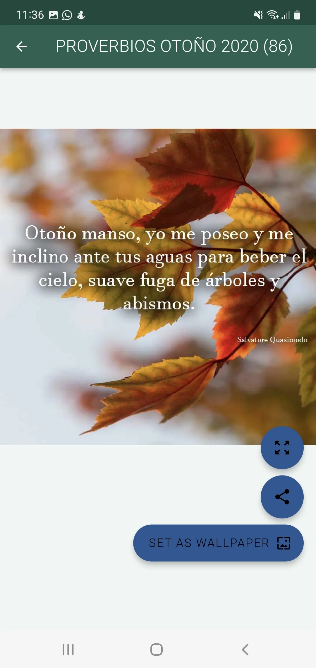 Feliz Otoño, bienvenido frío | Indus Appstore | Screenshot