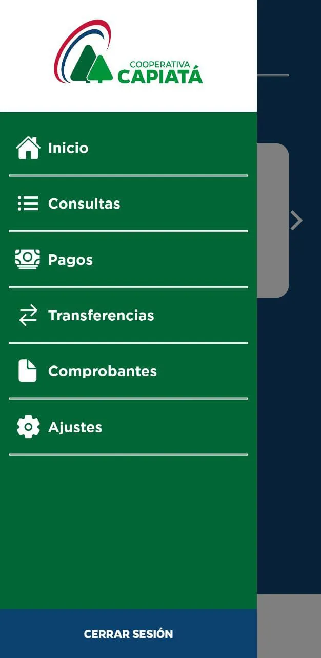 Cooperativa Capiatá Móvil | Indus Appstore | Screenshot