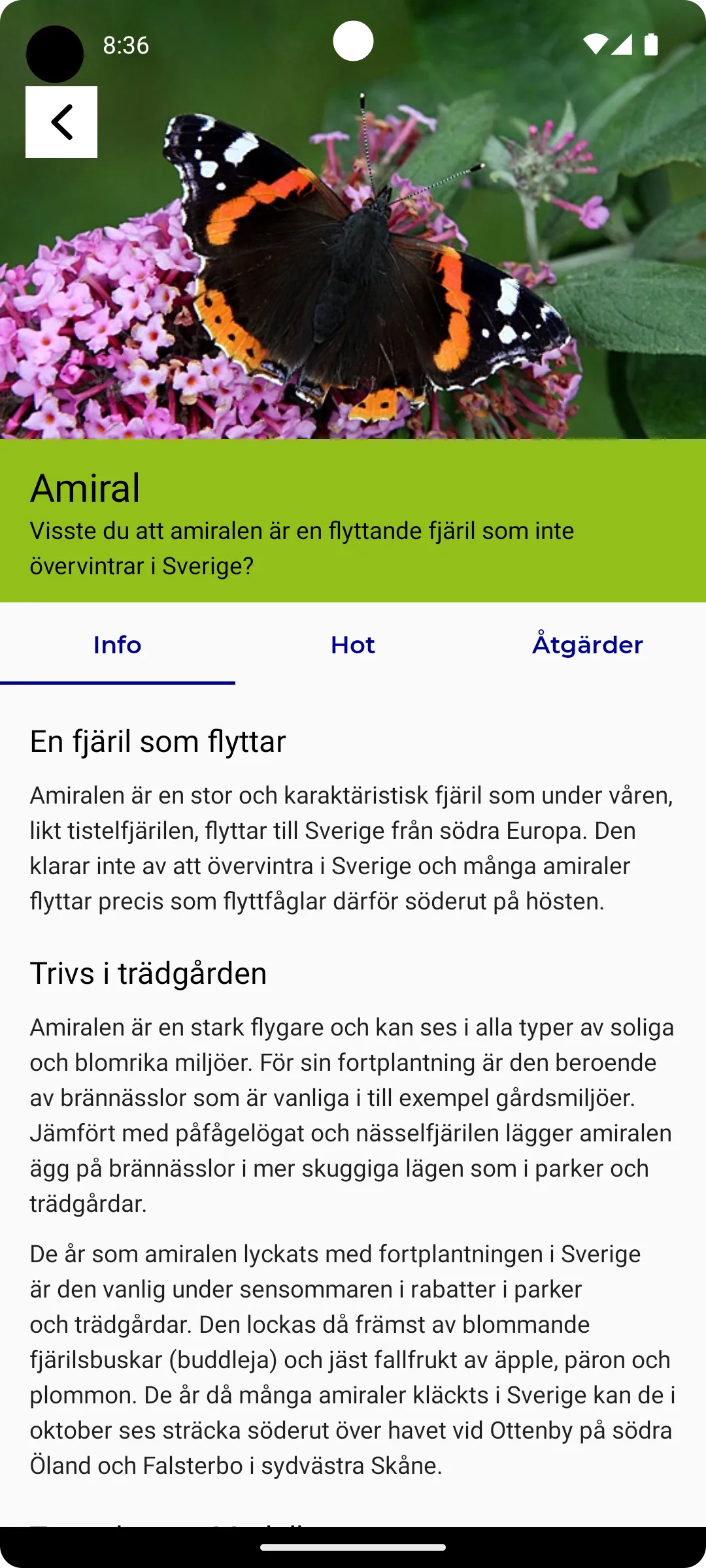 Fjärilar | Indus Appstore | Screenshot