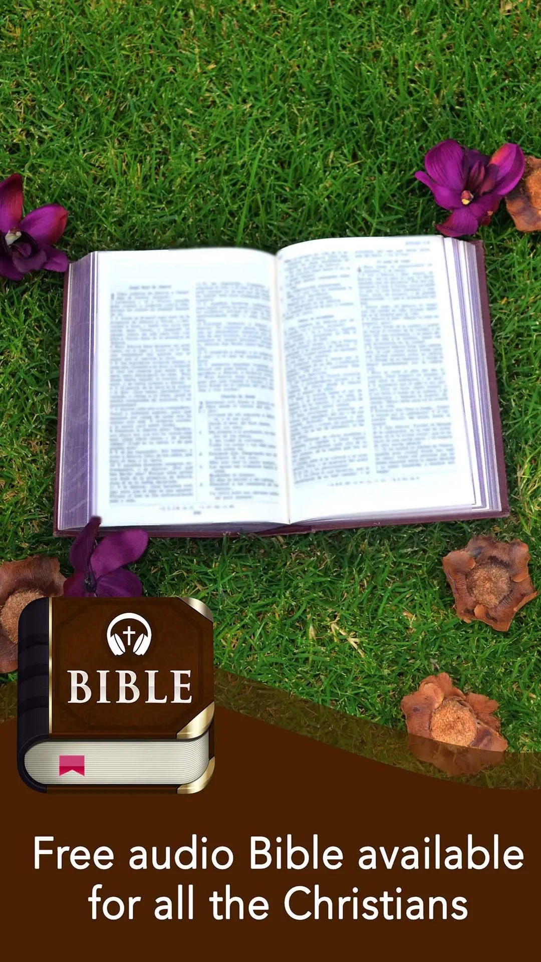 Bible offline app | Indus Appstore | Screenshot