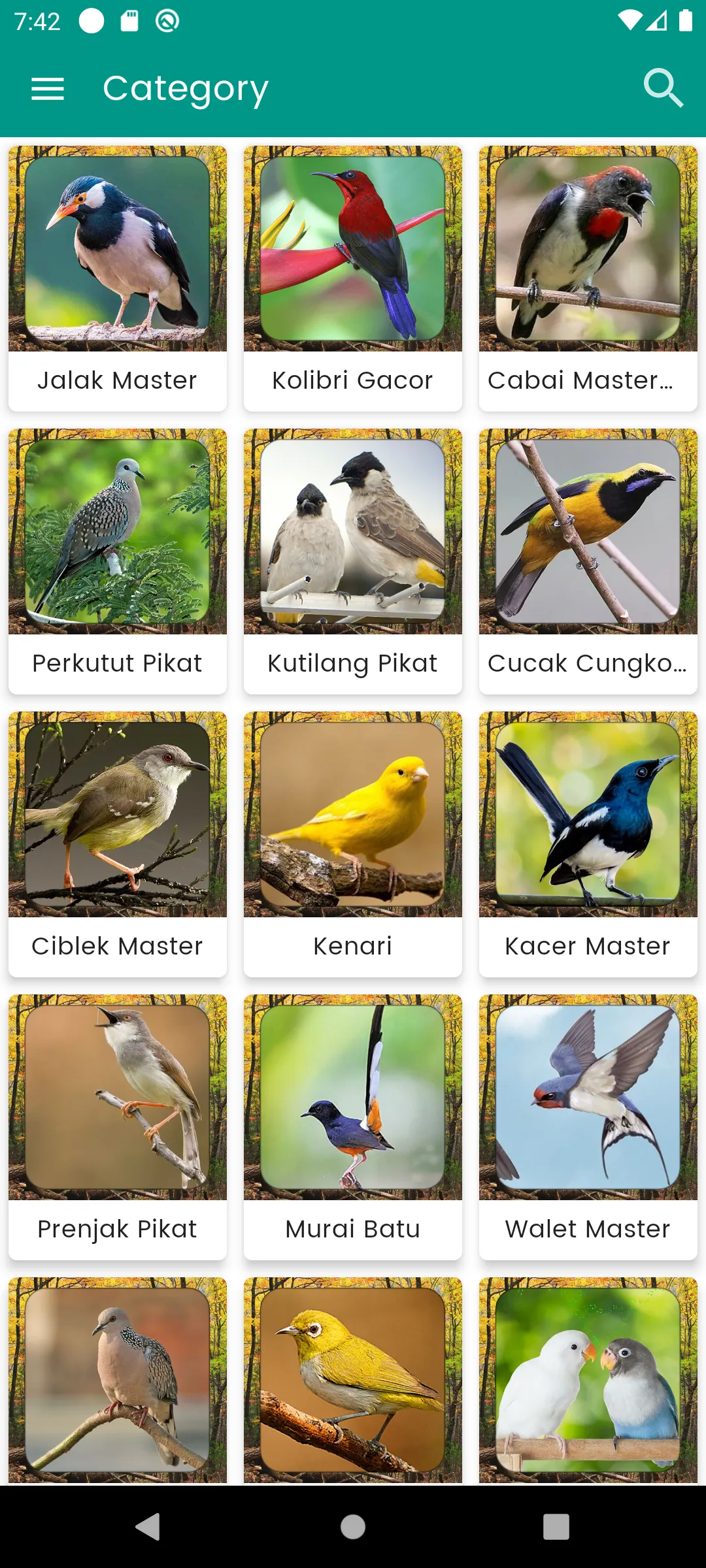 Suara Burung Trucukan Pikat | Indus Appstore | Screenshot