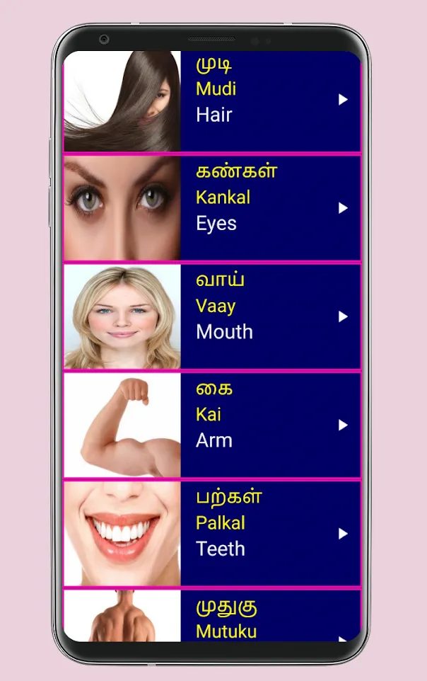 Learn Tamil From English | Indus Appstore | Screenshot