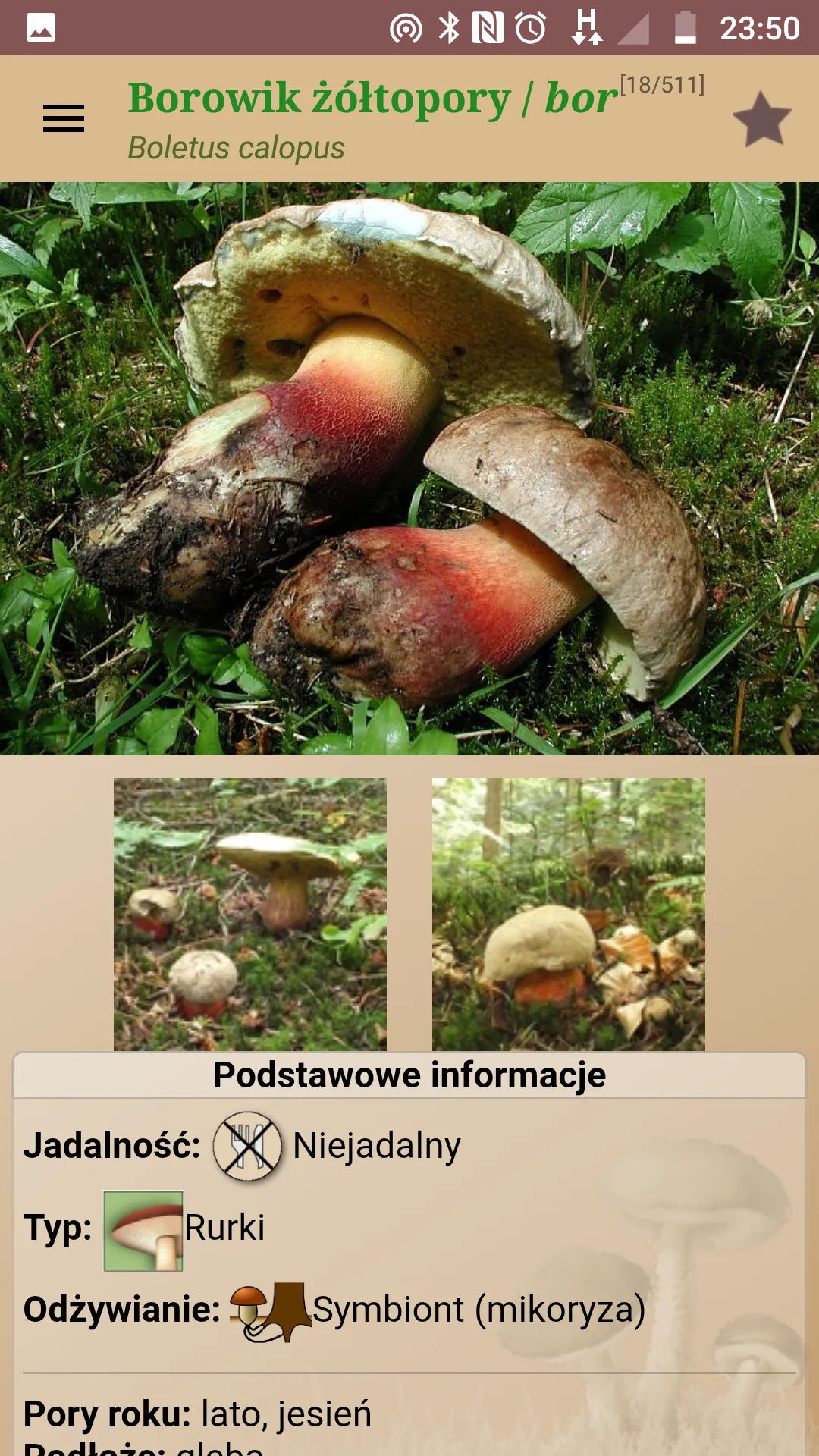 Atlas grzybów | Indus Appstore | Screenshot