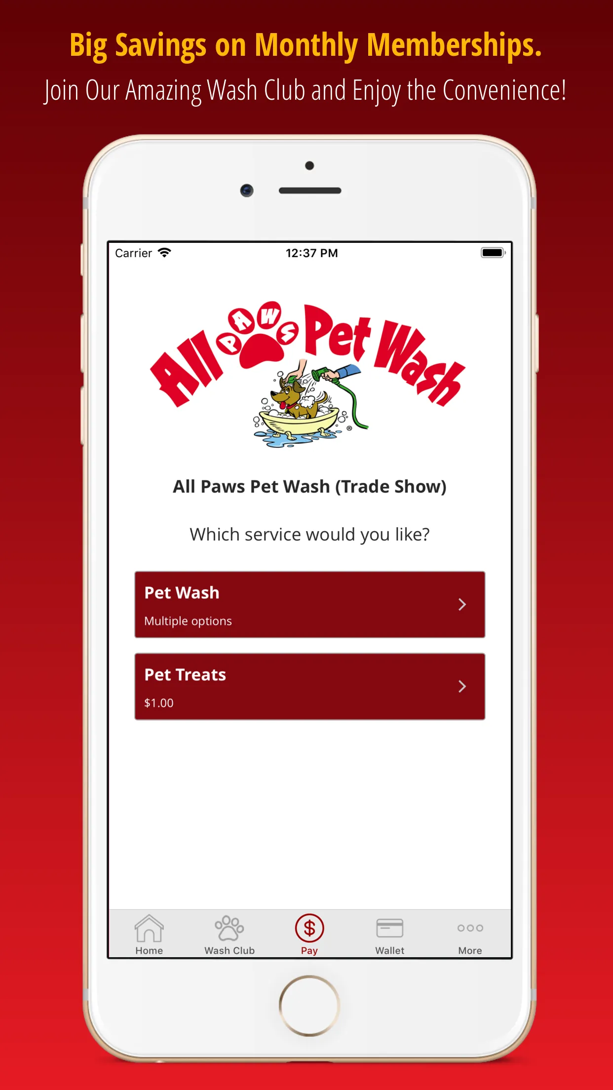 All Paws Pet Wash | Indus Appstore | Screenshot