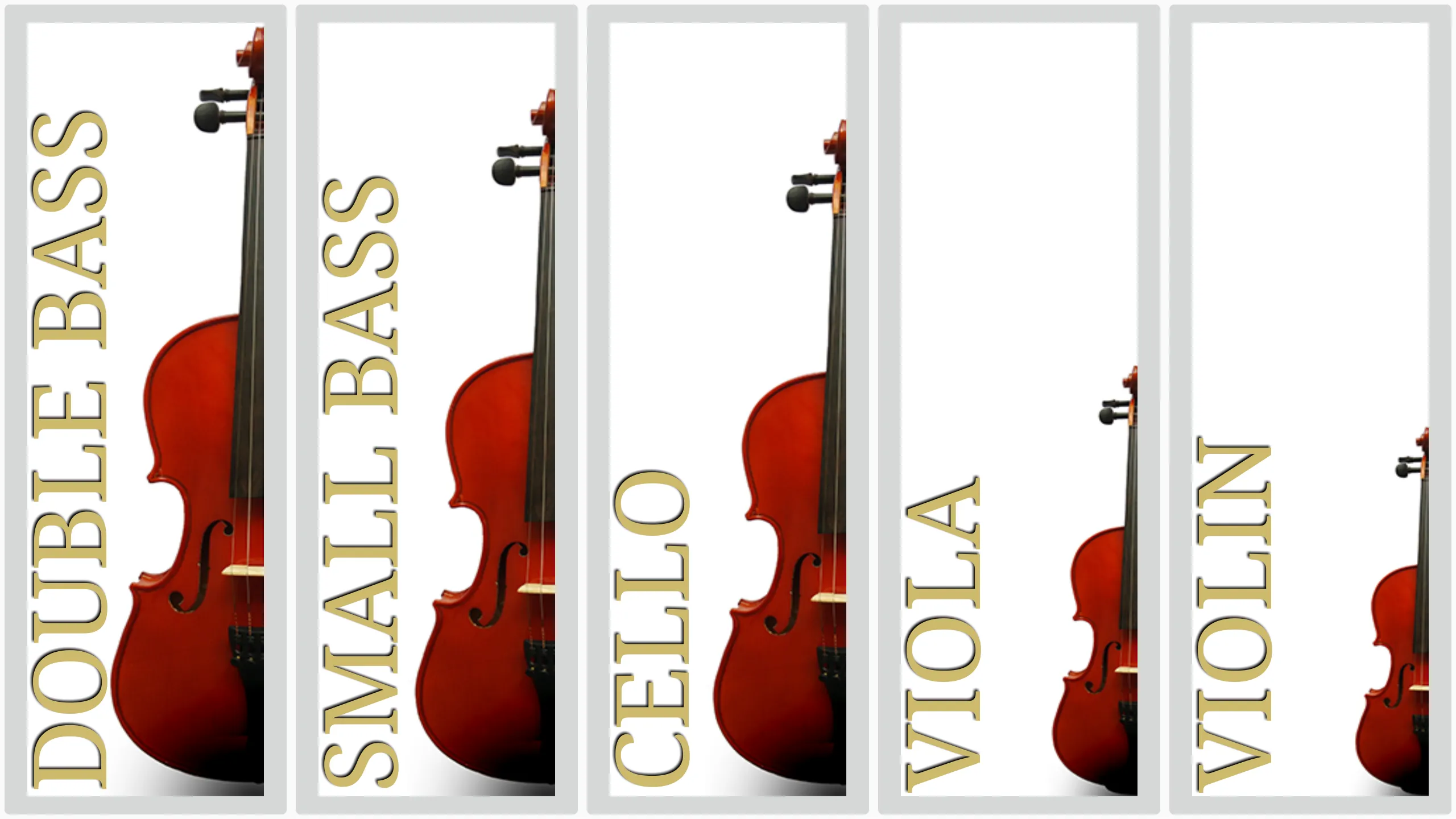 Maple Violin | Indus Appstore | Screenshot