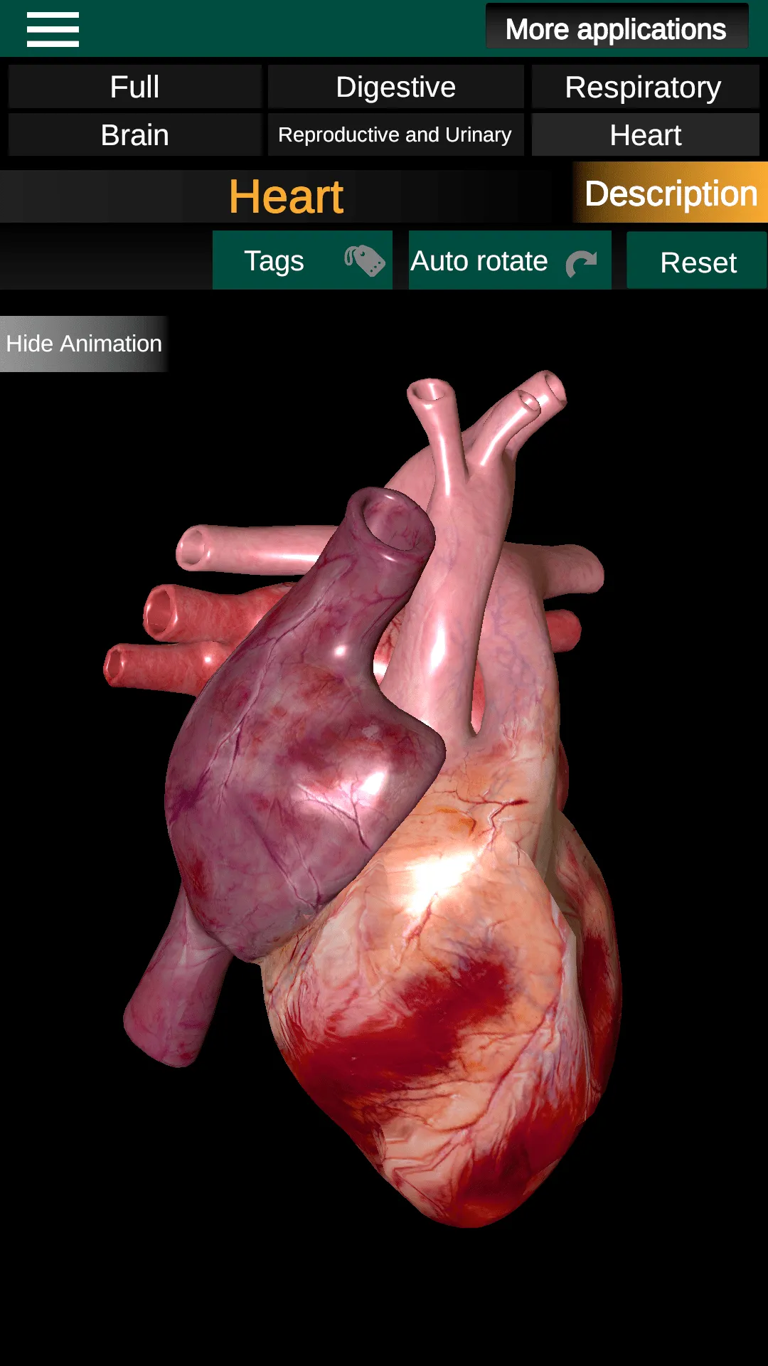 Internal Organs in 3D Anatomy | Indus Appstore | Screenshot