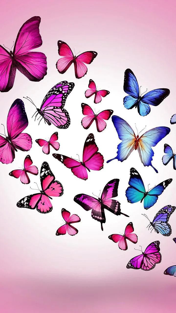 Butterfly Live Wallpaper | Indus Appstore | Screenshot